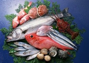 seafood-chophouse